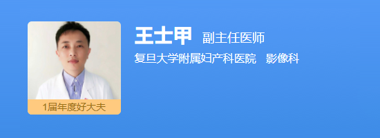 王士甲