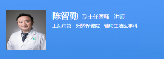 陈智勤