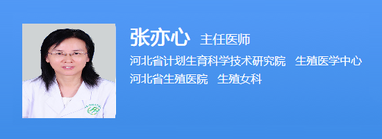 张亦心