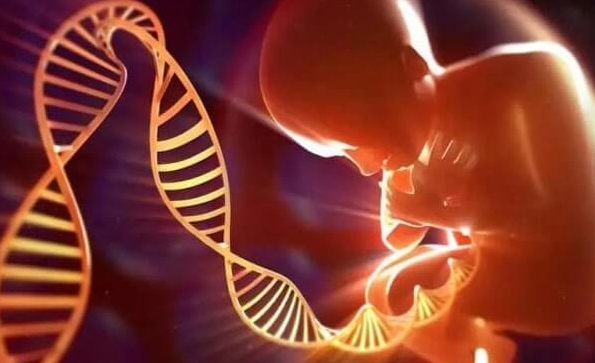 第二次试管还检查染色体吗？染色体检查和基因检测不一样？